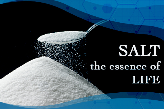SKC-salt-essence-of-life