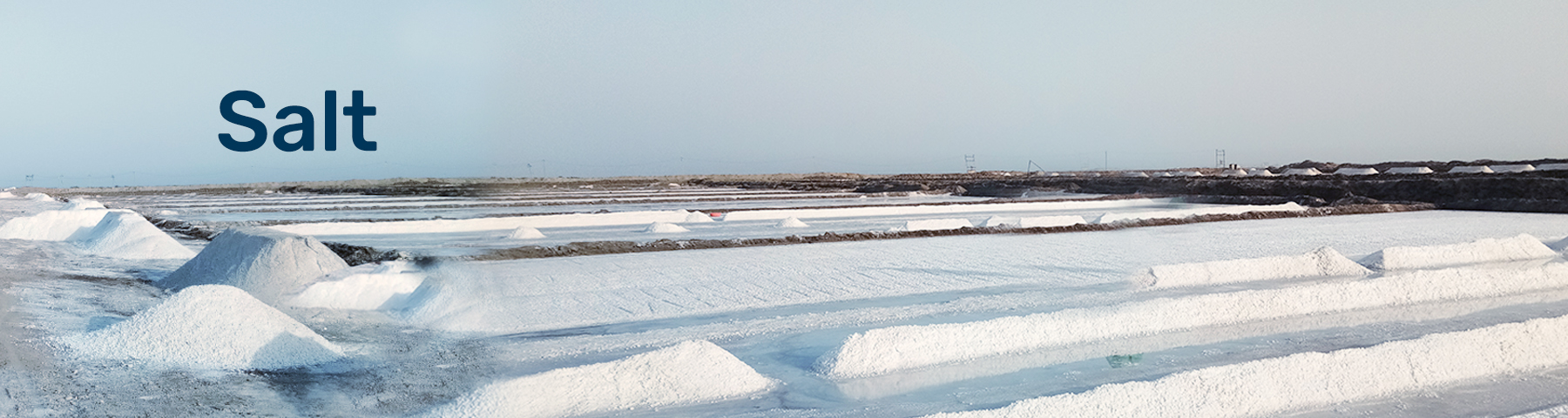 SKC-Salt-banner