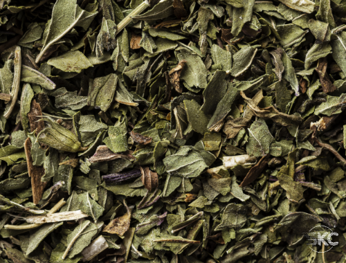 Green Tea Exporter in Kutch, Gujarat